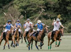 Win a double pass to the Polo final