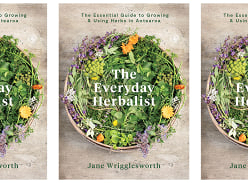 Win 1 of 3 Copies of the Everyday Herbalist by Jane Wrigglesworth