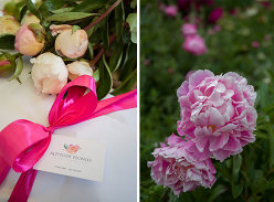 Win a seasonal peony-filled gift box from Altitude Peonies