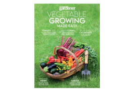 Win Vegetable Growing Made Easy