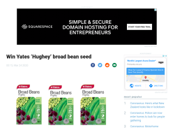 Win Yates Hughey Broad Bean Seed