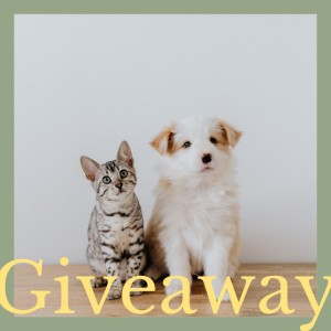 Win $100 Animates Voucher