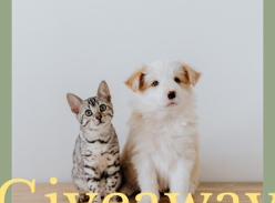 Win $100 Animates Voucher