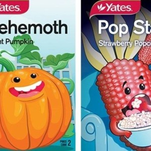 Win Fun for Kids Seeds from Yates