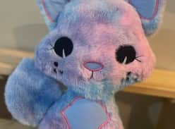 Win a gorgeous mega size Fluffy Cat Plush Toy