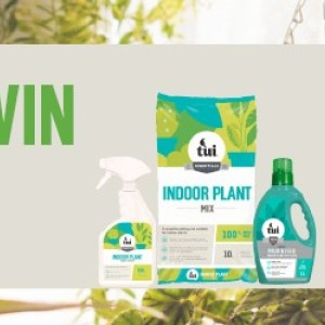 Win an Indoor Plant Pack