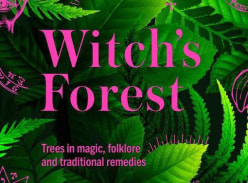 Win 1 of 3 Copies of Sandra Lawrences Book Kew  Witchs Forest