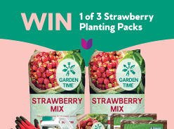 Win 1 of 3 Strawberry Planting Packs