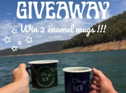 Brumby in the Moonlight