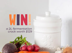 Win 2L fermentation crock