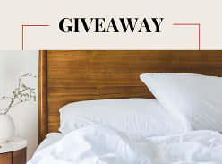 Win 2x Luxurious Serene Silk Pillows
