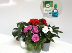 Win 3 Gorgeous Ornamental Plants & Tui Essentials