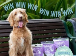 Win a 3-month supply of Bell and Bone Dental Sticks
