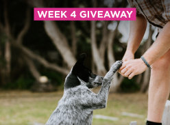 Win a 3-Month Supply of Eukanuba