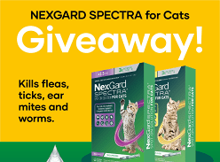 Win a 3-pack of Nexgard Spectra for Cats