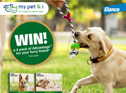 Win a 4 Pack of Advantage