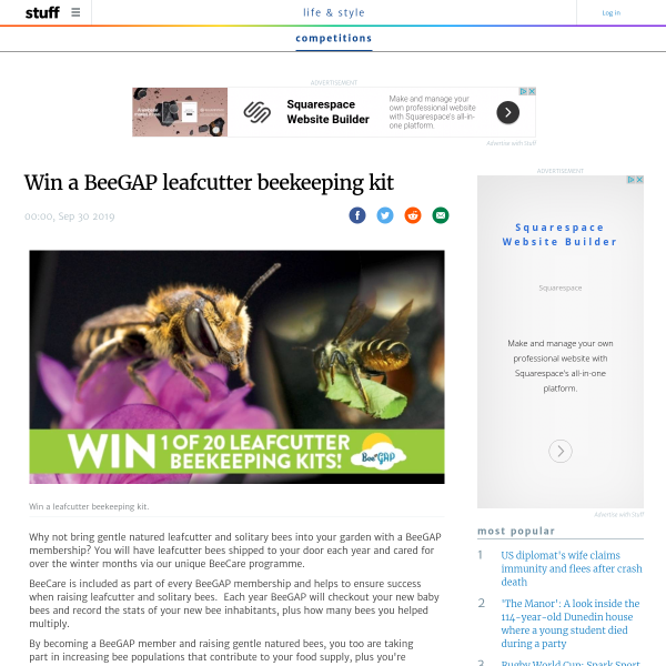 Win a BeeGAP Leafcutter Beekeeping kit