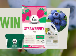 Win a blueberry planting Pack