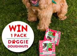 Win a Box of Doggie Doughnuts