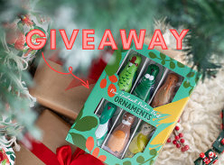 Win a Box of New Zealand Native Bird Ornaments