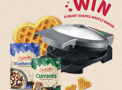 Win a Breville Waffle Maker