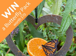 Win a Butterfly Pack