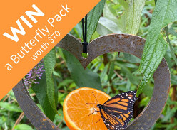 Win a Butterfly Pack