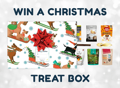 Win a Christmas Dog Treat Box