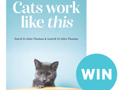 Win a copy of Cats Work Like This