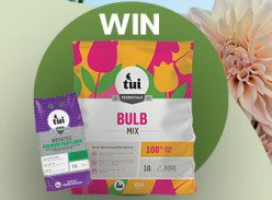 Win a Dahlia Planting Pack