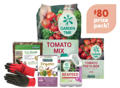 Win a Daltons Tomato Prize Pack