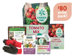 Win a Daltons Tomato Prize Pack