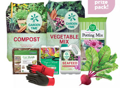 Win a Daltons Veggie Planting Prize Pack