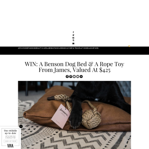 WIN: A Dog Bed & A Rope Toy From James