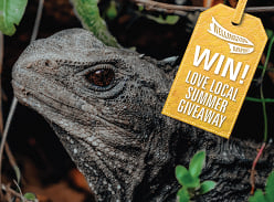 Win a double pass for a Zealandia Ecosanctuary by Night Tour worth $170