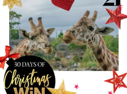 Win a family pass to Auckland Zoo