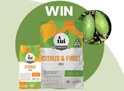 Win a Feijoa Planting Pack