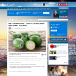 Win A Feijoa Prize Pack