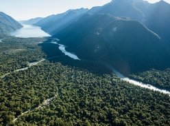 Win a four-day guided Hollyford Wilderness Experience