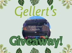 Win a Gellerts Prize Pack