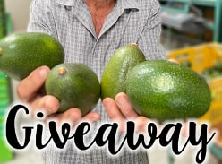 Win a gift pack of Avogrey GreyStar Avocados