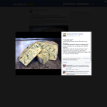 Win a Glenbrook Cheese Company Voucher - Glenbrook Cheese Company