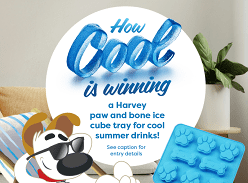 Win a Harvey Paw and Bone Ice Cube Tray