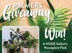Win a huge Gellert’s Houseplant Pack