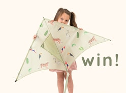 Win a Kite for you and a friend from Lofty Kites