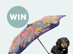 Win a limited-edition BLUNT + Ellen Porteus Metro umbrella