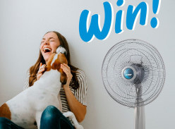 Win a Mitsubishi Electric Classic Mini Fan