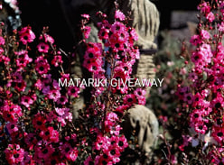 Win a Native Plant Pack