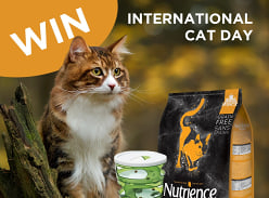 Win a Nutrience Prize Pack