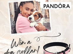 Win a PANDORA Collar for your best friend